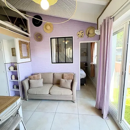 Lilas Clim Balcon Piscine Parking Prive 公寓